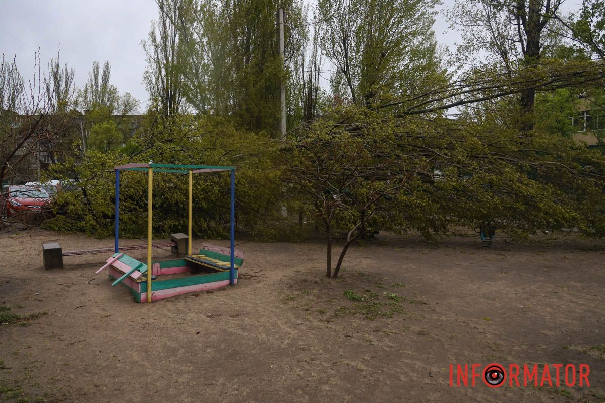 Немов торнадо: на лівому березі Дніпра десятки дерев повиривало з корінням, пошкоджені автівки та вирвані дроти 15