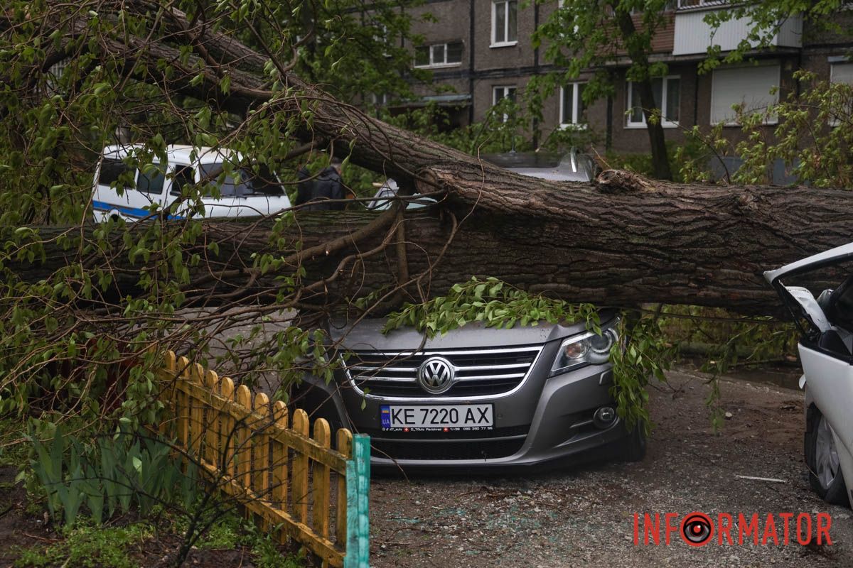 Немов торнадо: на лівому березі Дніпра десятки дерев повиривало з корінням, пошкоджені автівки та вирвані дроти 14