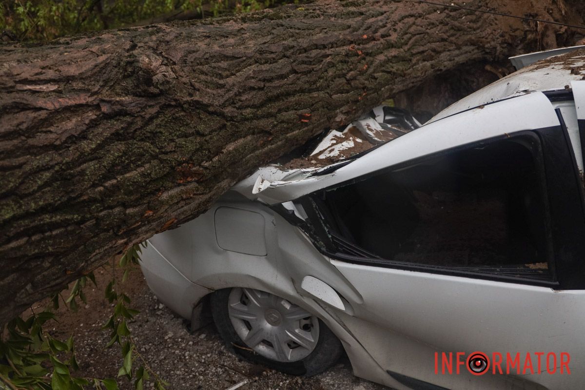 Немов торнадо: на лівому березі Дніпра десятки дерев повиривало з корінням, пошкоджені автівки та вирвані дроти 6