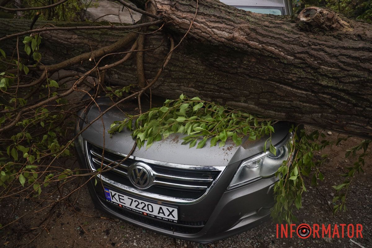 Немов торнадо: на лівому березі Дніпра десятки дерев повиривало з корінням, пошкоджені автівки та вирвані дроти 9