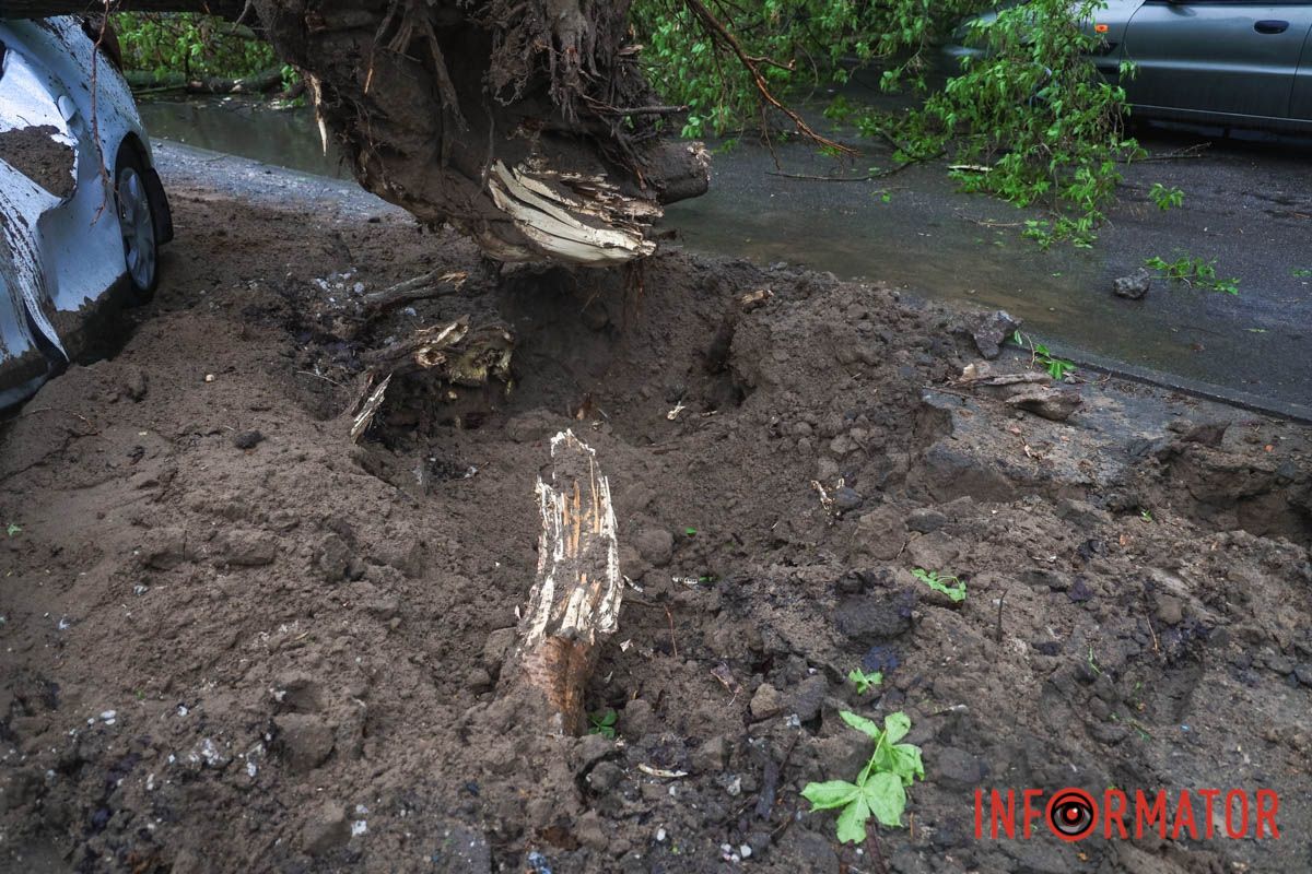Немов торнадо: на лівому березі Дніпра десятки дерев повиривало з корінням, пошкоджені автівки та вирвані дроти 10
