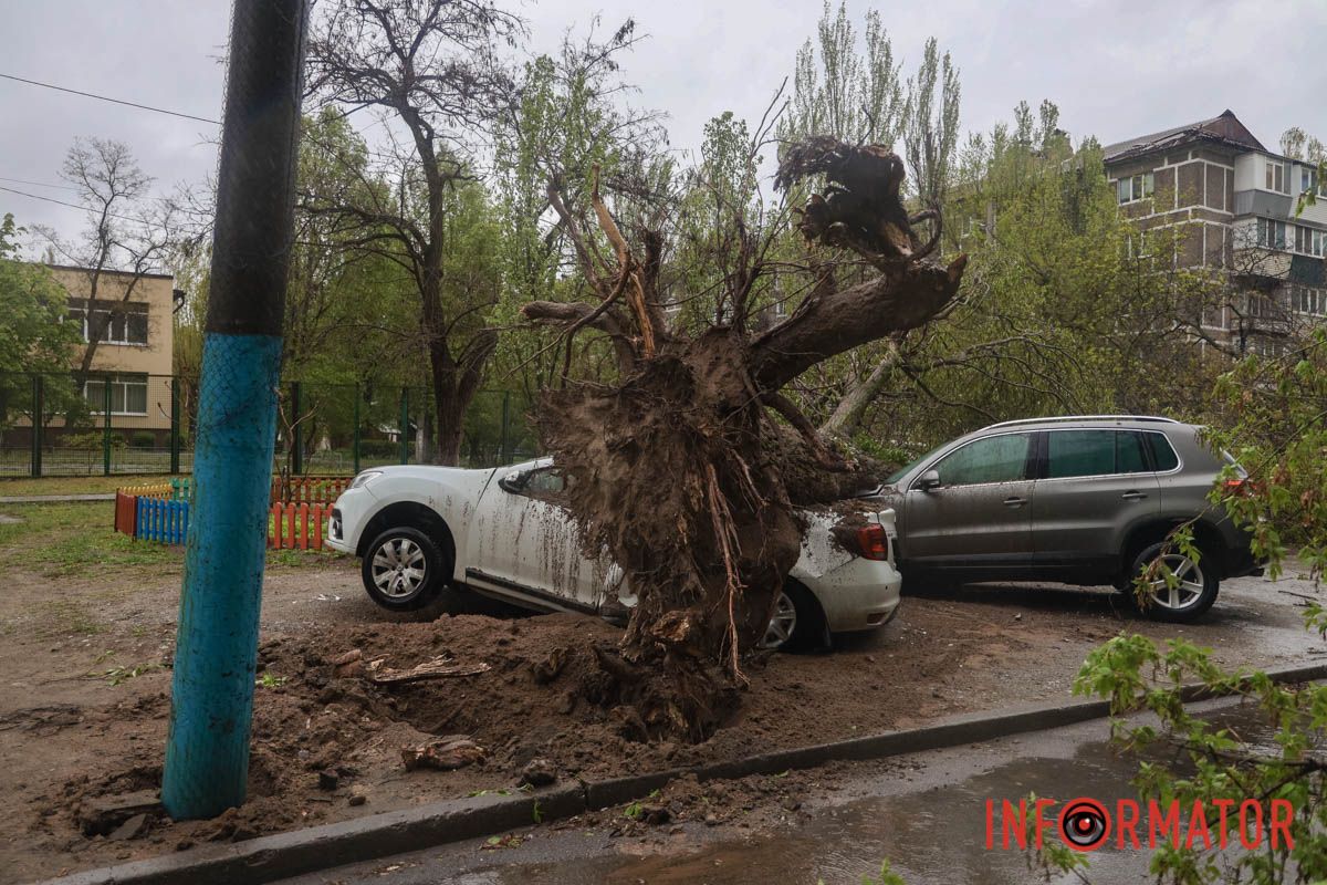 Немов торнадо: на лівому березі Дніпра десятки дерев повиривало з корінням, пошкоджені автівки та вирвані дроти 12