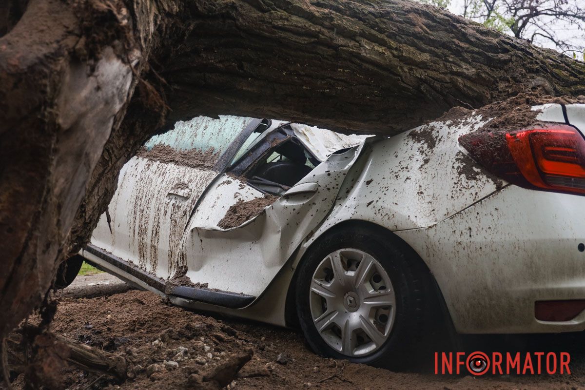 Немов торнадо: на лівому березі Дніпра десятки дерев повиривало з корінням, пошкоджені автівки та вирвані дроти 13