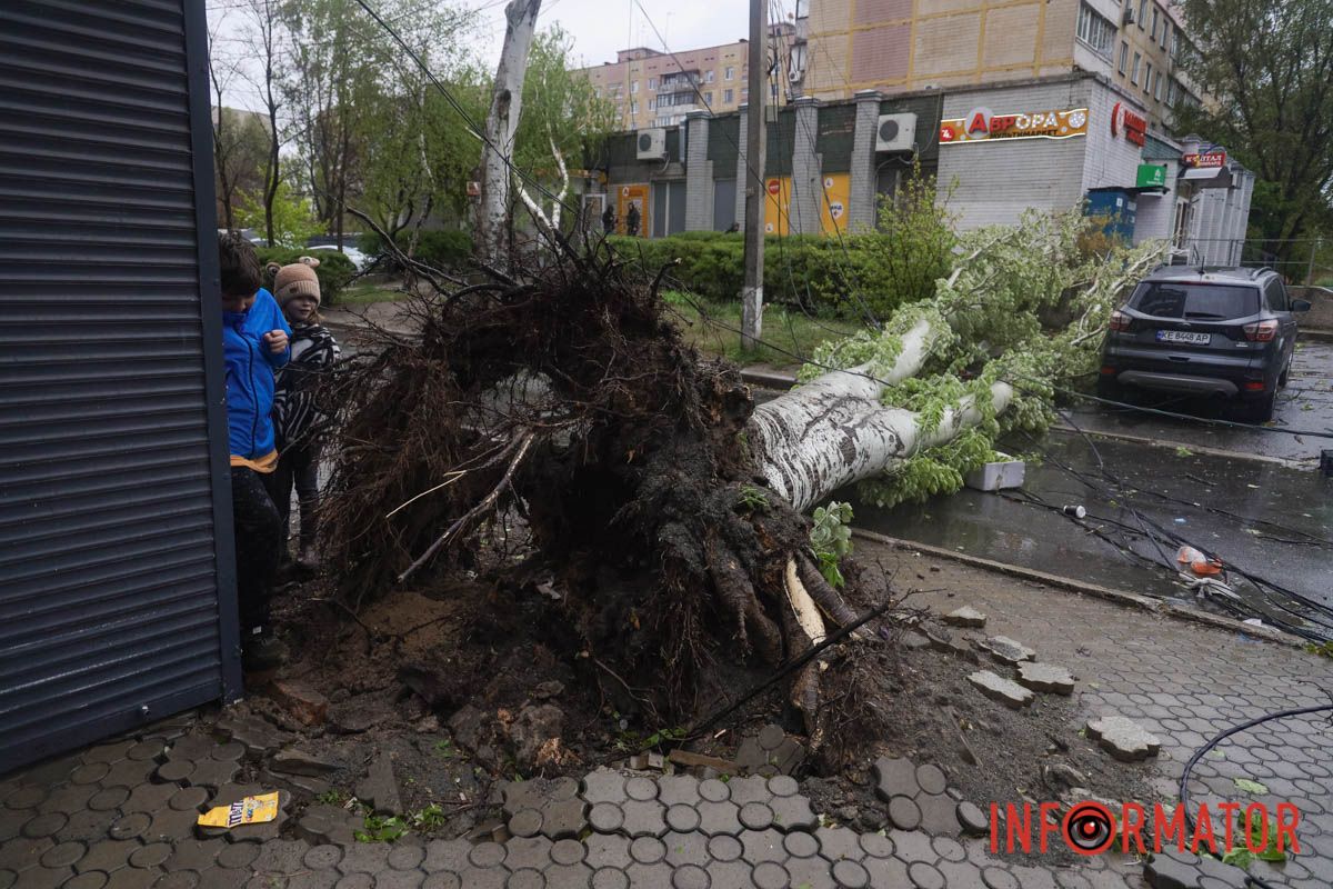 Немов торнадо: на лівому березі Дніпра десятки дерев повиривало з корінням, пошкоджені автівки та вирвані дроти 4