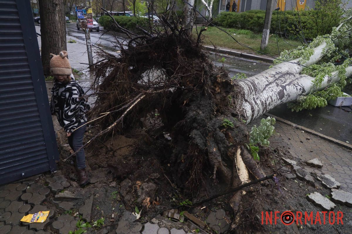 Немов торнадо: на лівому березі Дніпра десятки дерев повиривало з корінням, пошкоджені автівки та вирвані дроти 2