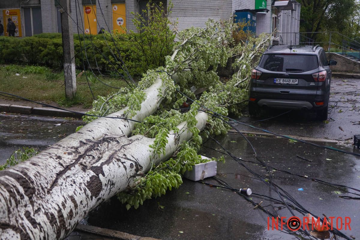 Немов торнадо: на лівому березі Дніпра десятки дерев повиривало з корінням, пошкоджені автівки та вирвані дроти 1