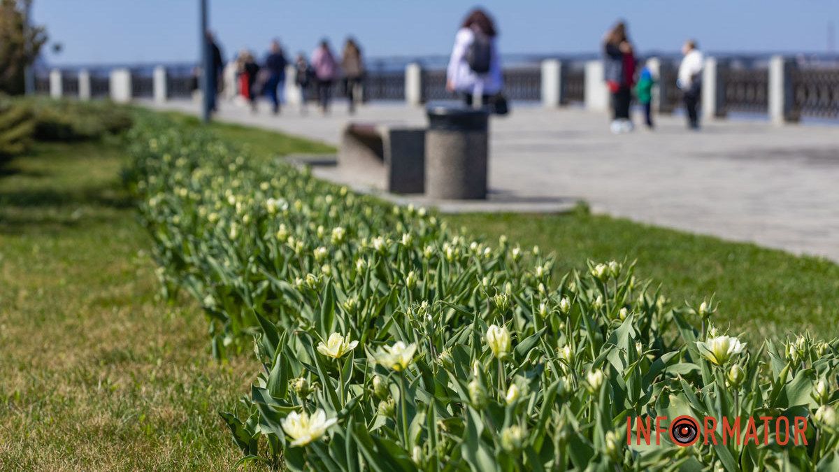 Погода на 28 квітня: у Дніпрі буде хмарно з проясненнями