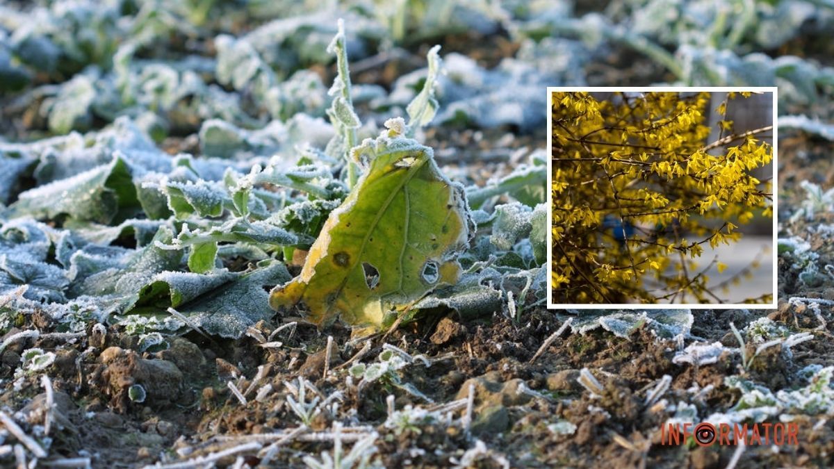 Діставайте теплий одяг: у Дніпрі наприкінці квітня очікуються заморозки