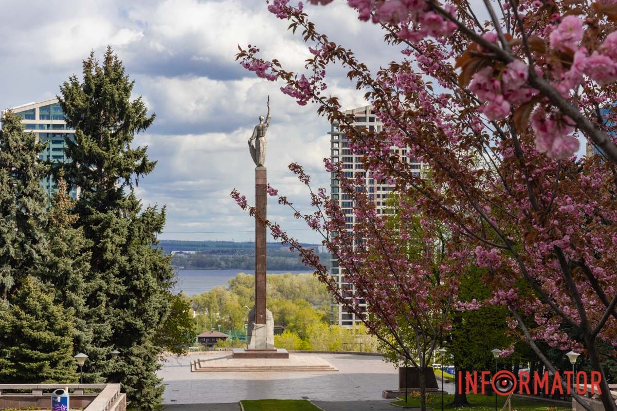 Ідеї для фотографій: де у Дніпрі ще розквітли алеї сакур та тюльпанів 3