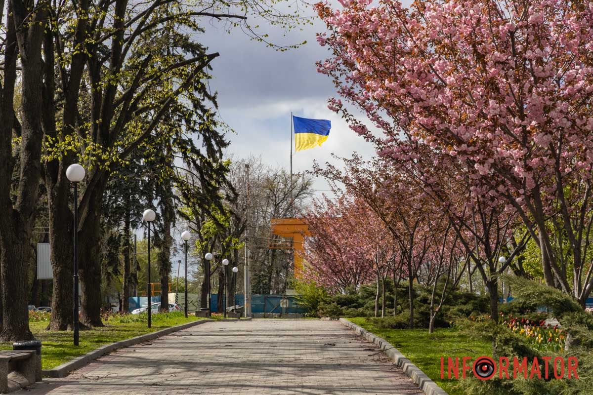 Ідеї для фотографій: де у Дніпрі ще розквітли алеї сакур та тюльпанів 20