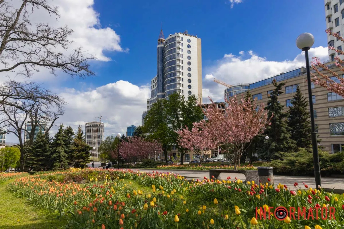 Ідеї для фотографій: де у Дніпрі ще розквітли алеї сакур та тюльпанів 18