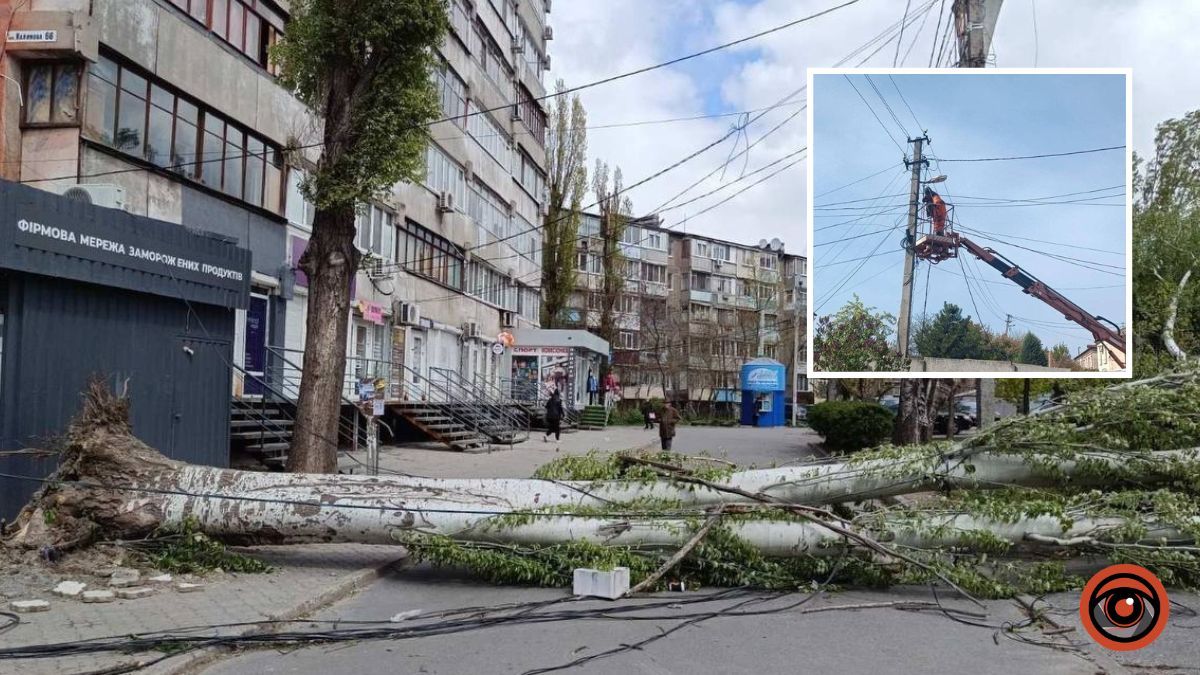 Деревопад та обірвані дроти: як у Дніпрі ліквідовують наслідки буревію