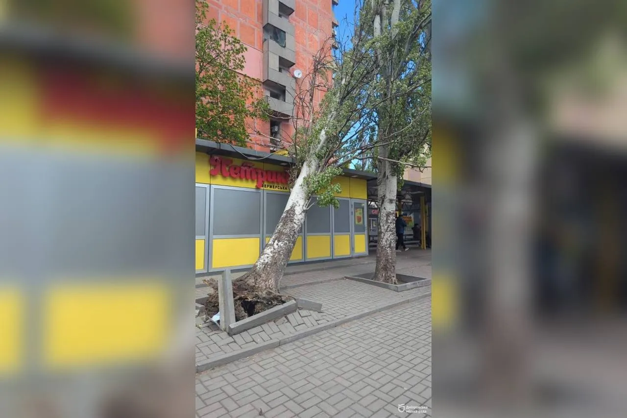 Комунальники вже опрацювали понад сотню заявок