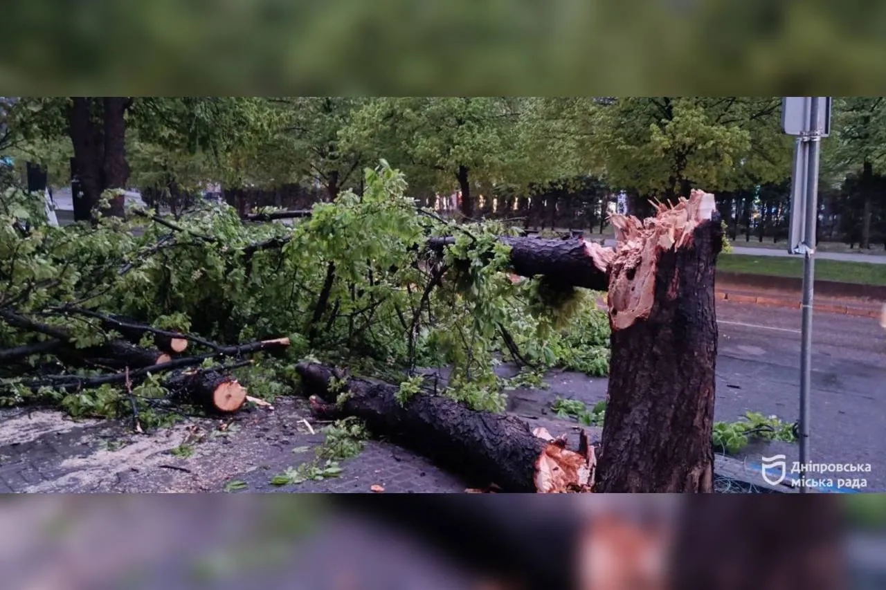 Комунальники першочергово прибирають дерева, що перешкоджають руху транспорту або створюють загрозу пішоходам