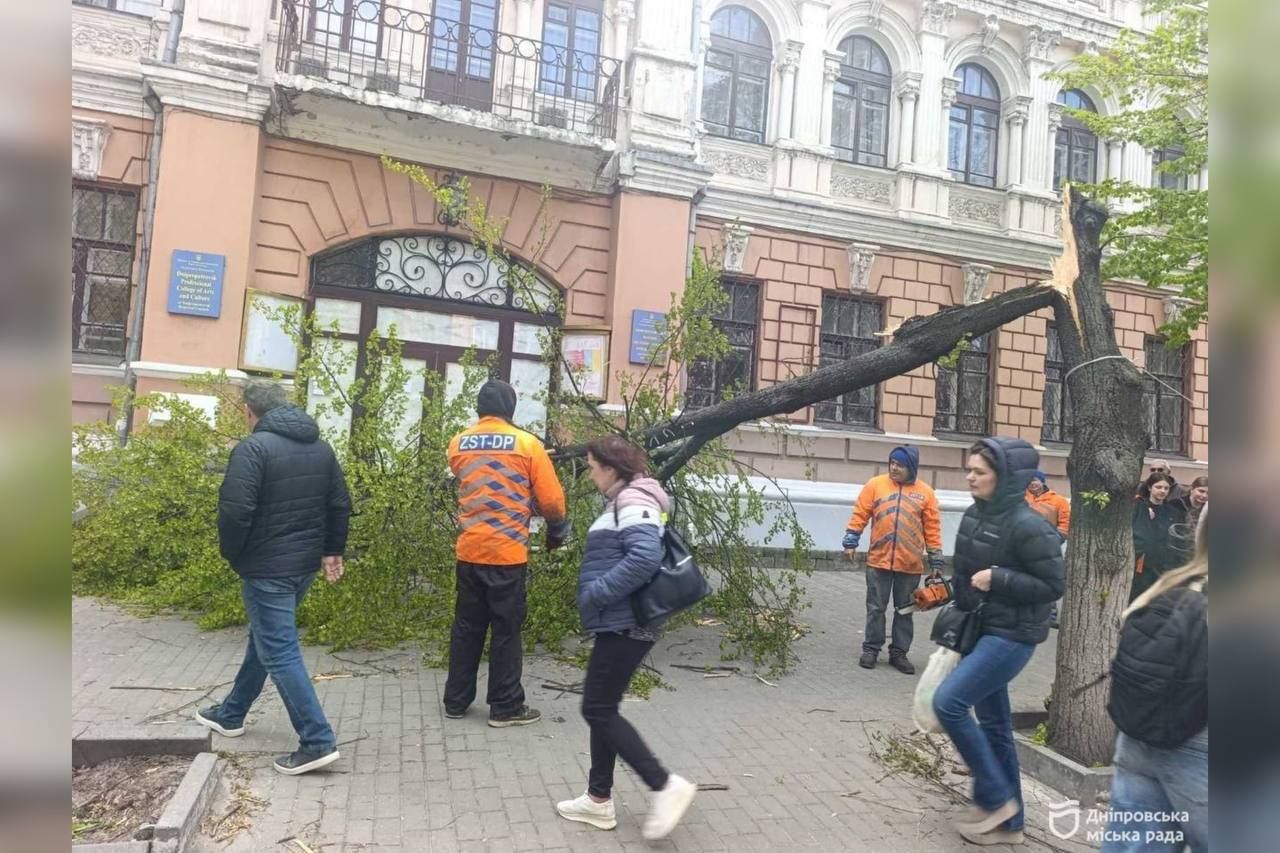 Внаслідок негоди повалені дерева, зламане гілля та пошкоджені лінії електропередач