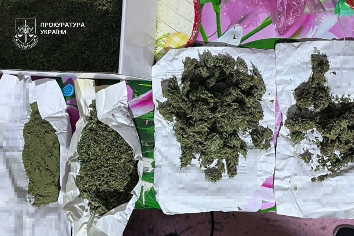У Дніпрі наркоторговці обладнали приміщення під лабораторію та виростили понад 80 кущів марихуани