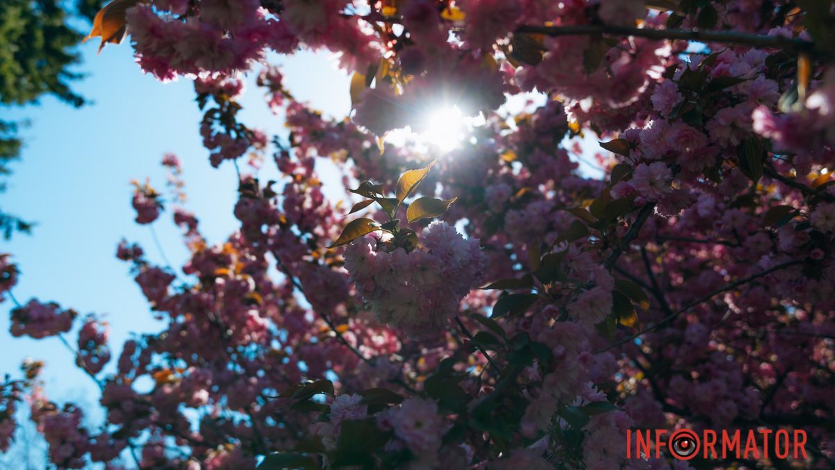 Погода на 30 квітня: у Дніпрі буде хмарно з проясненнями