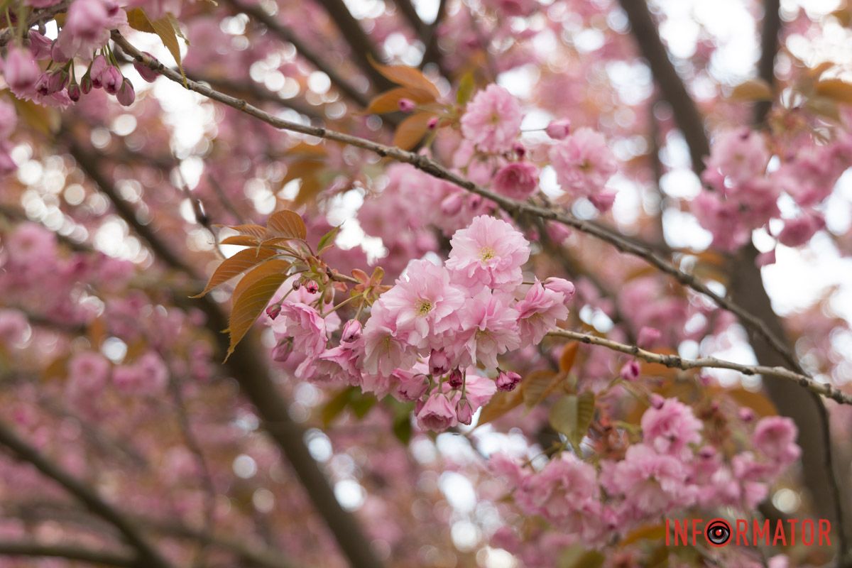 Приємного перегляду.