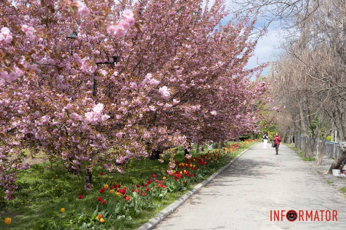 Фото - Марагарита Горбунова