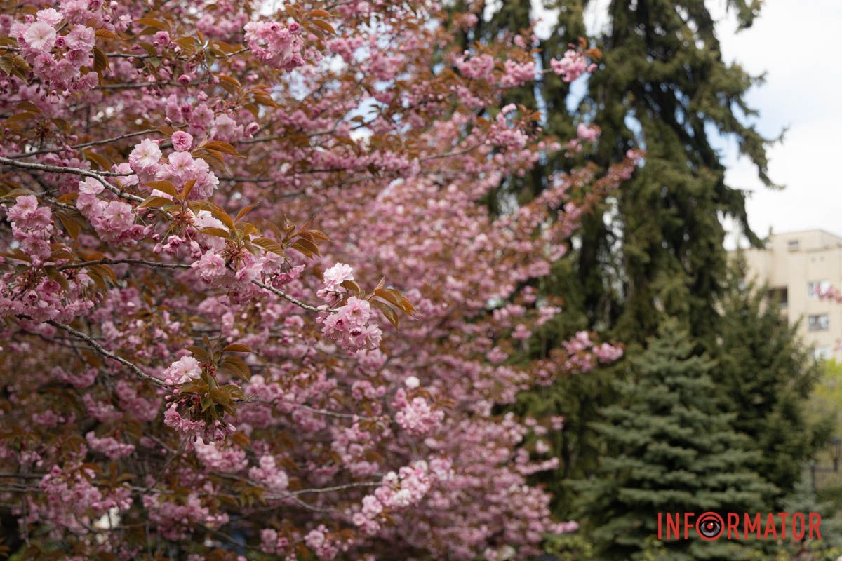 Інформатор відвідав місце події та зафіксував для вас цю красу