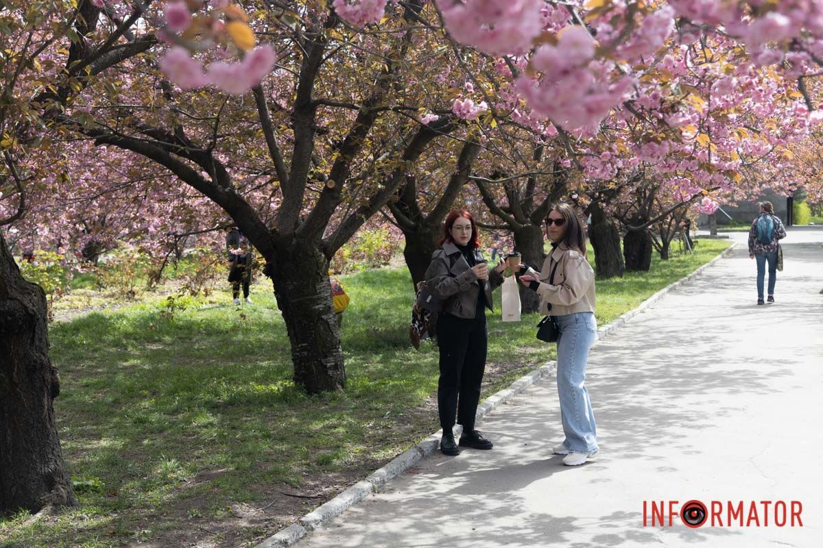 ніпряни приходять сюди цілими родинами