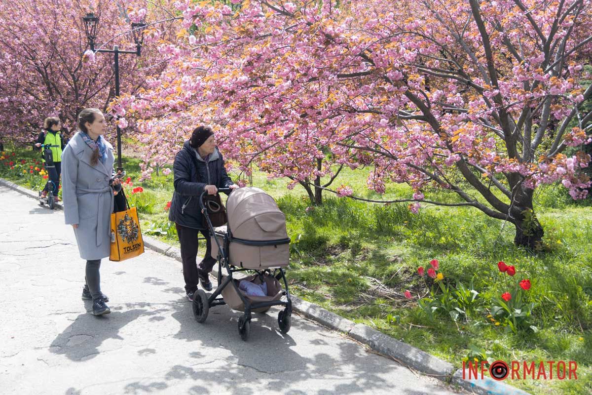 Прогулянки з сім'єю ще приємніші