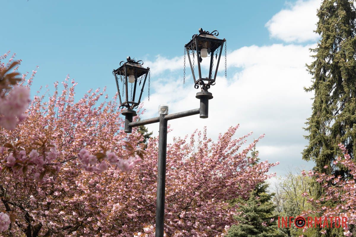 Серпанок рожевих надій