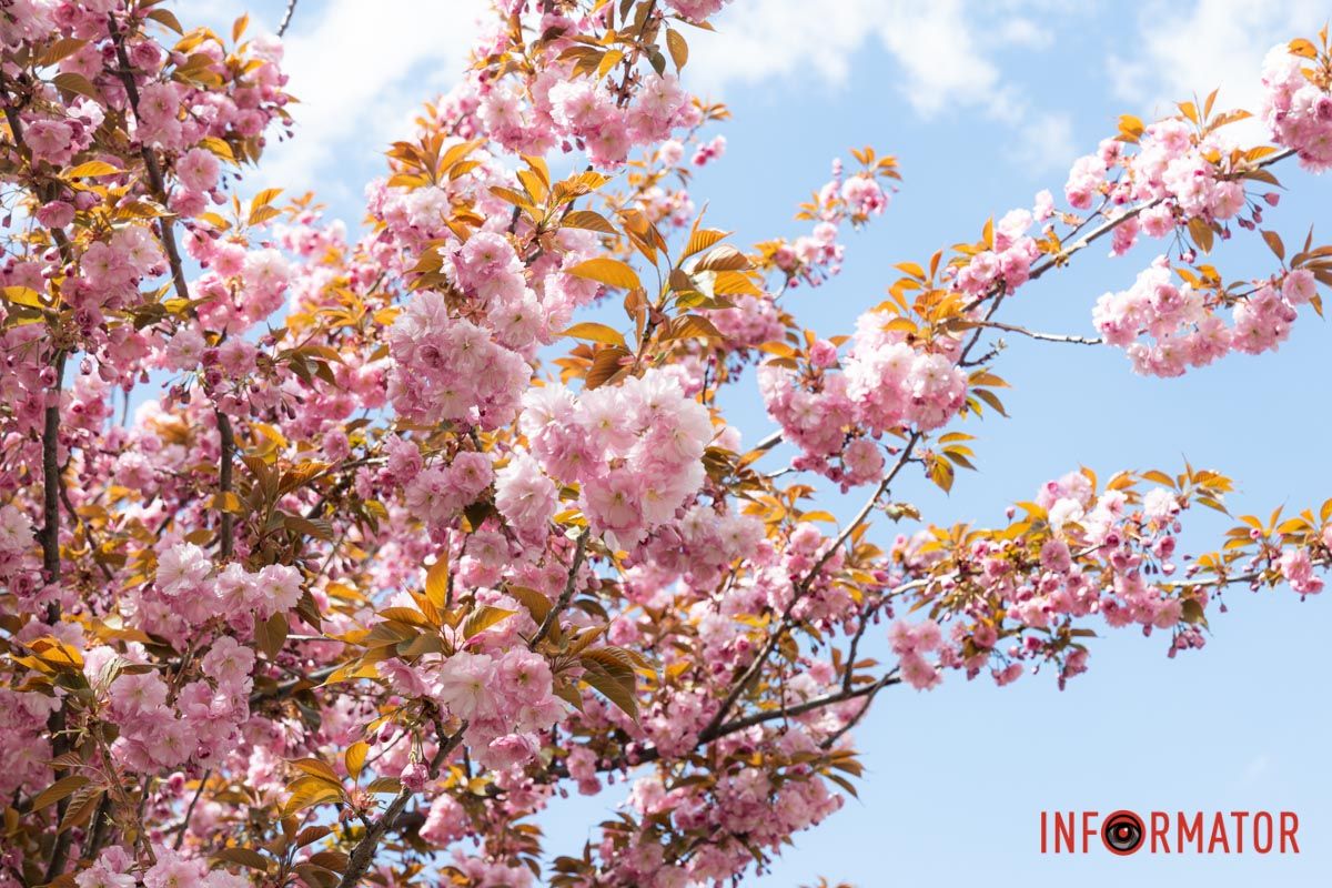 Відчуйте себе у казці