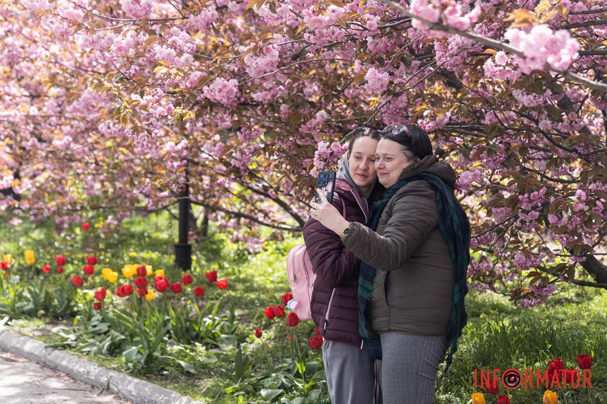 Магія усмішок