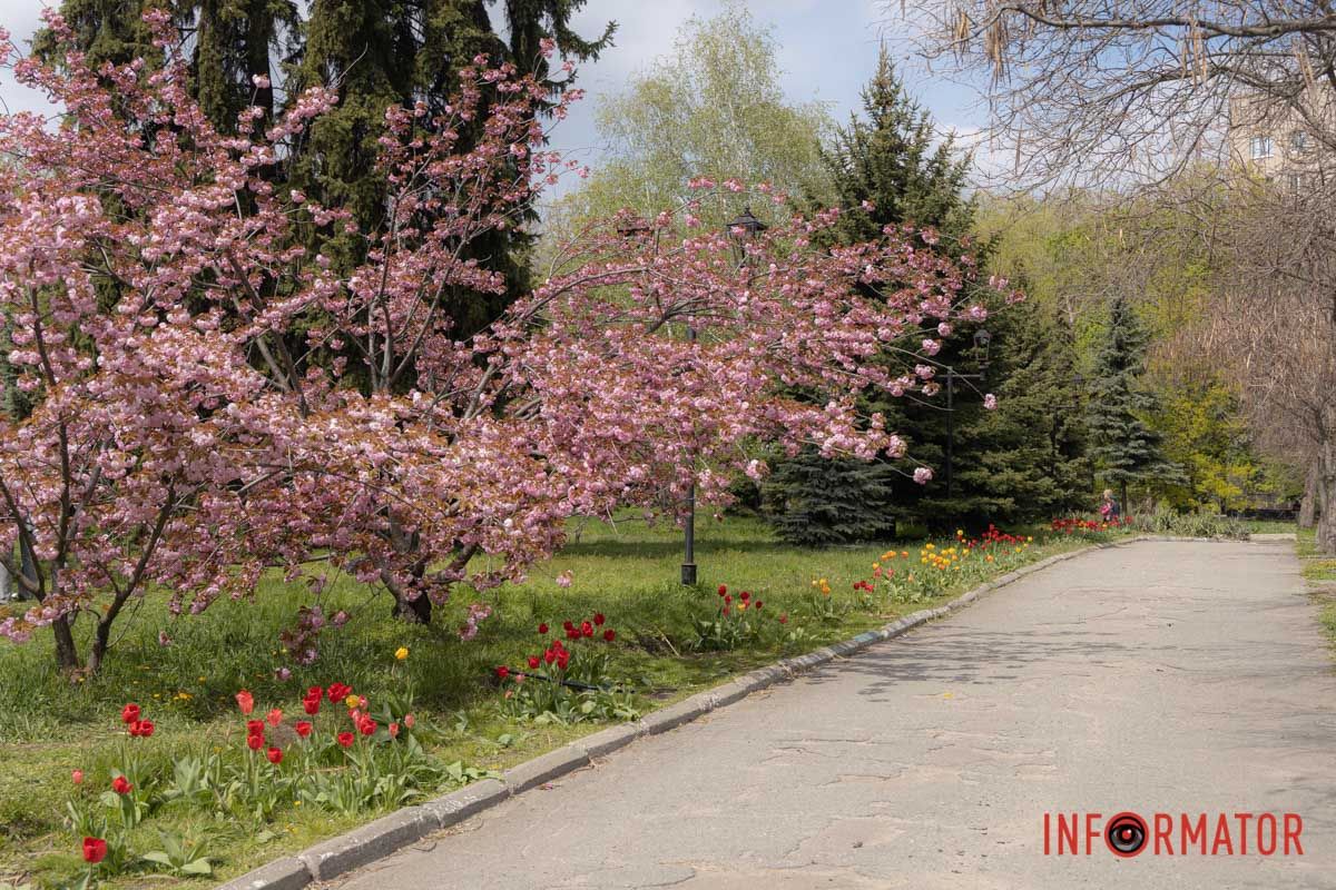 Весняне натхнення