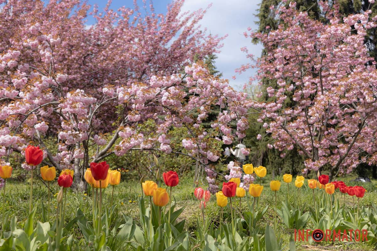 Неймовірне поєднання