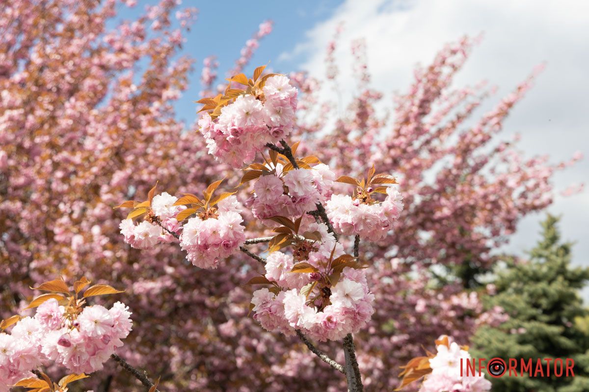 Тендітність 