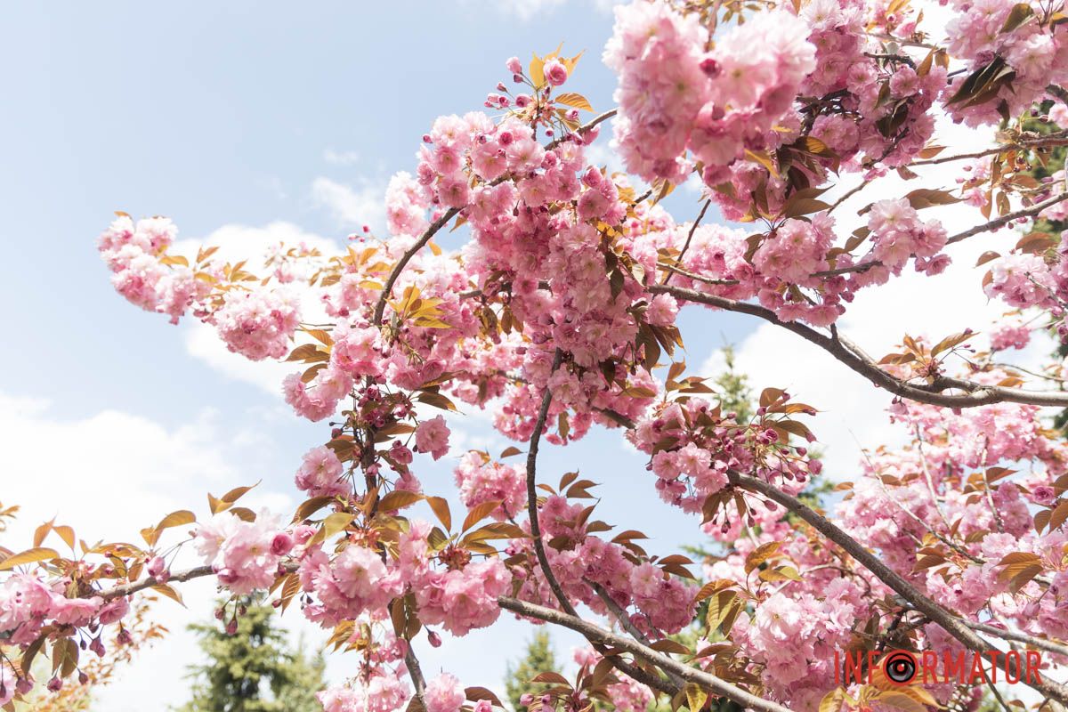 рРдимо не зволікати та завітати до університету найближчими днями