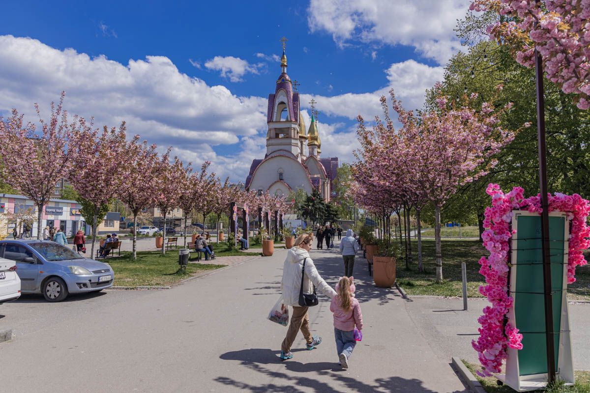 У Дніпрі у сквері Усачова квітнуть сакури