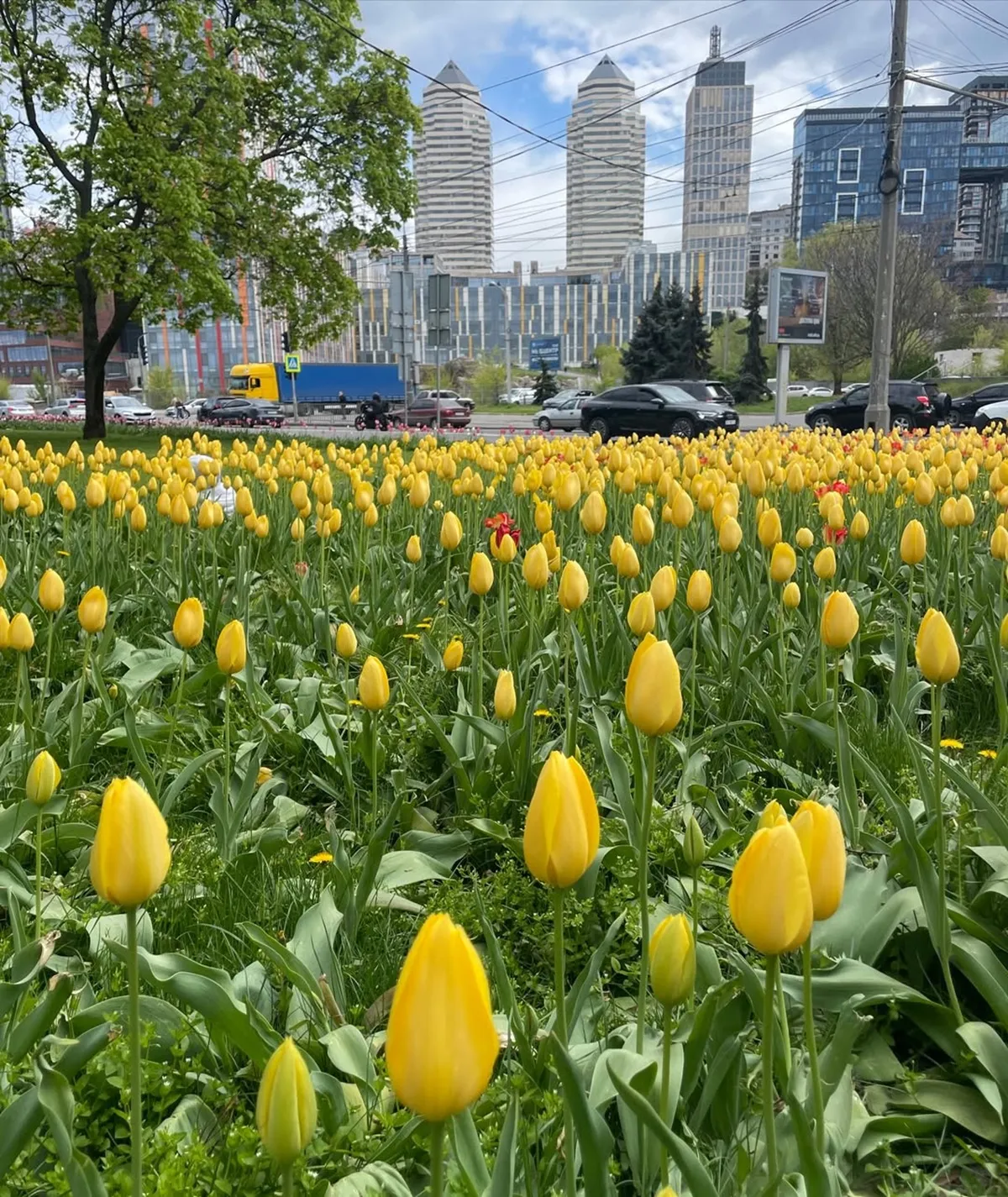 Барви весни в кожній фотографії: топ красивих світлин міста з Instagram 6