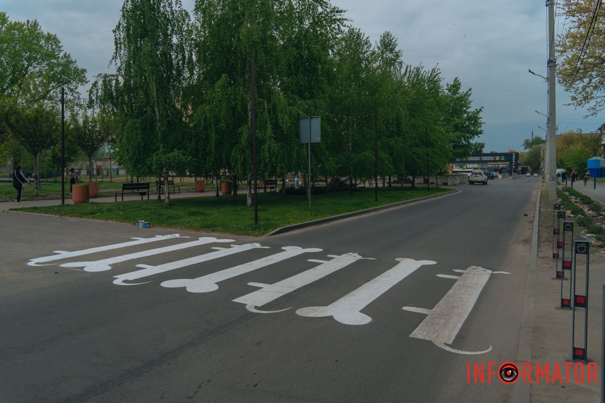 Собаки та кісточки