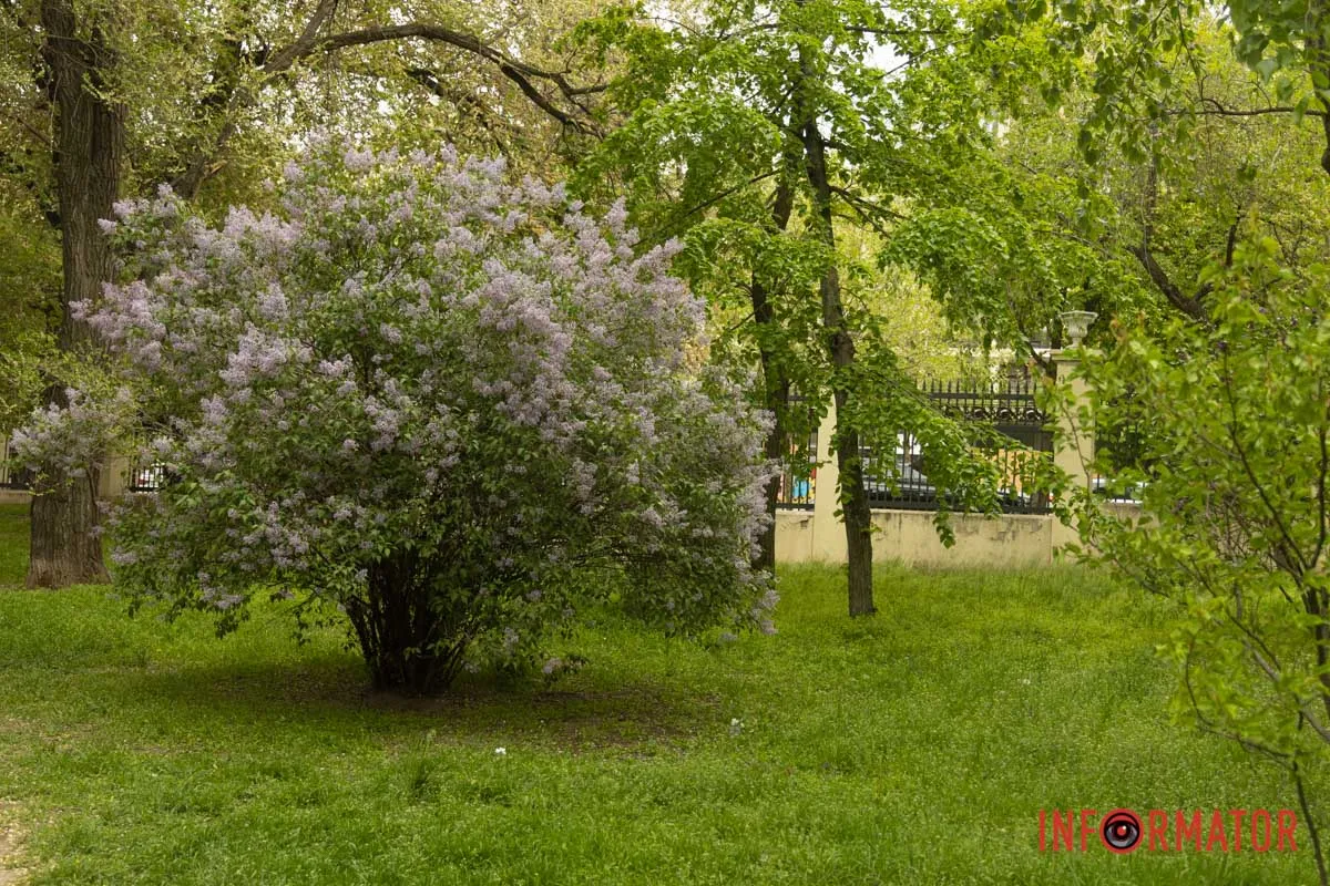 Фото – Маргарита Горбунова