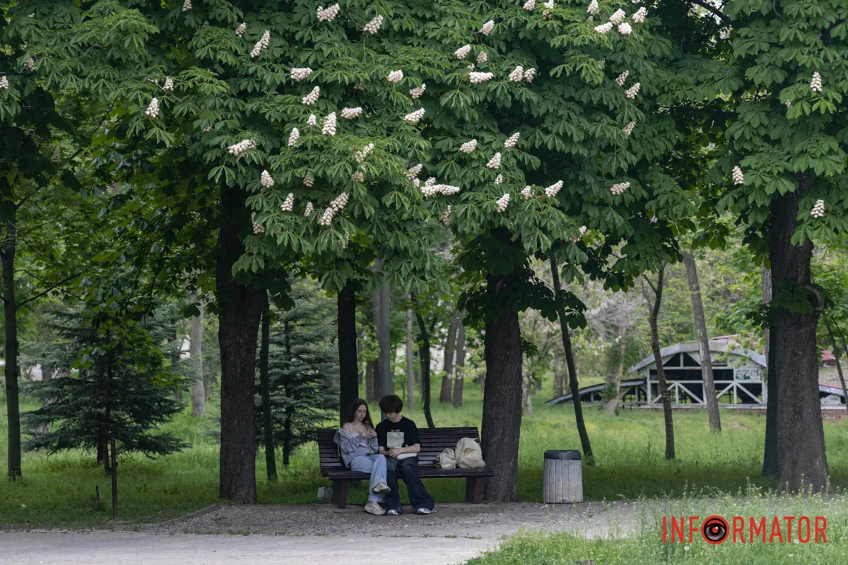 Природа, мистецтво та весняний дощ створили особливу атмосферу