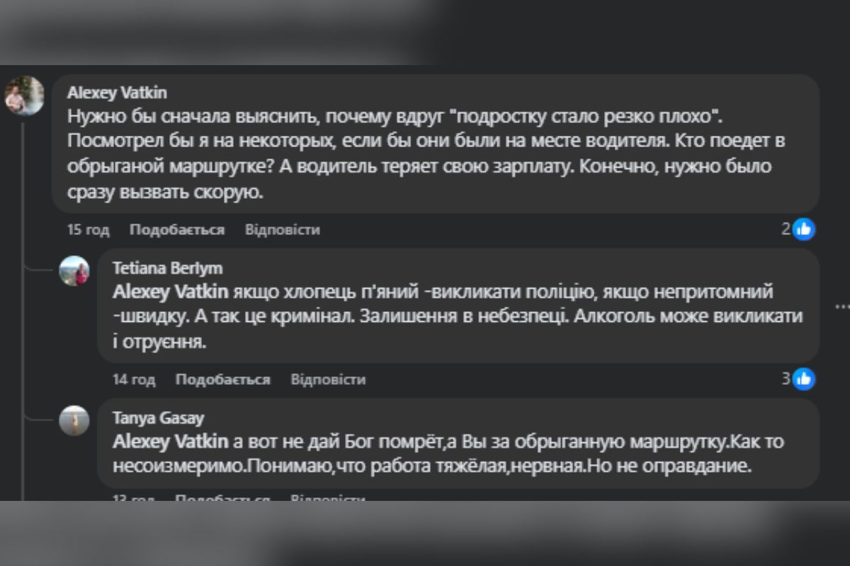 Еще один комментатор встал на сторону водителя