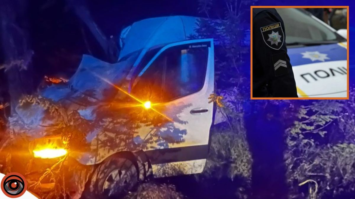 На трасі “Дніпро-Миколаїв” мікроавтобус з пасажирами влетів в дерево: є постраждалі