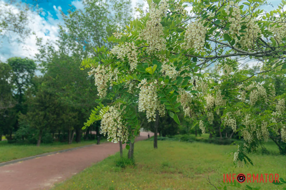Наближається літо Наближається літо