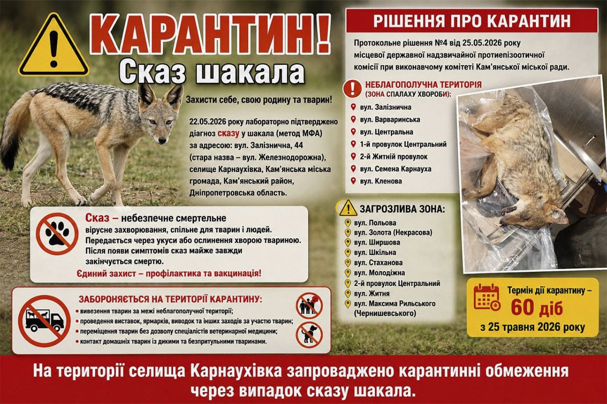 У селищі Карнаухівка Кам’янського району зафіксували випадок сказу у дикого шакала