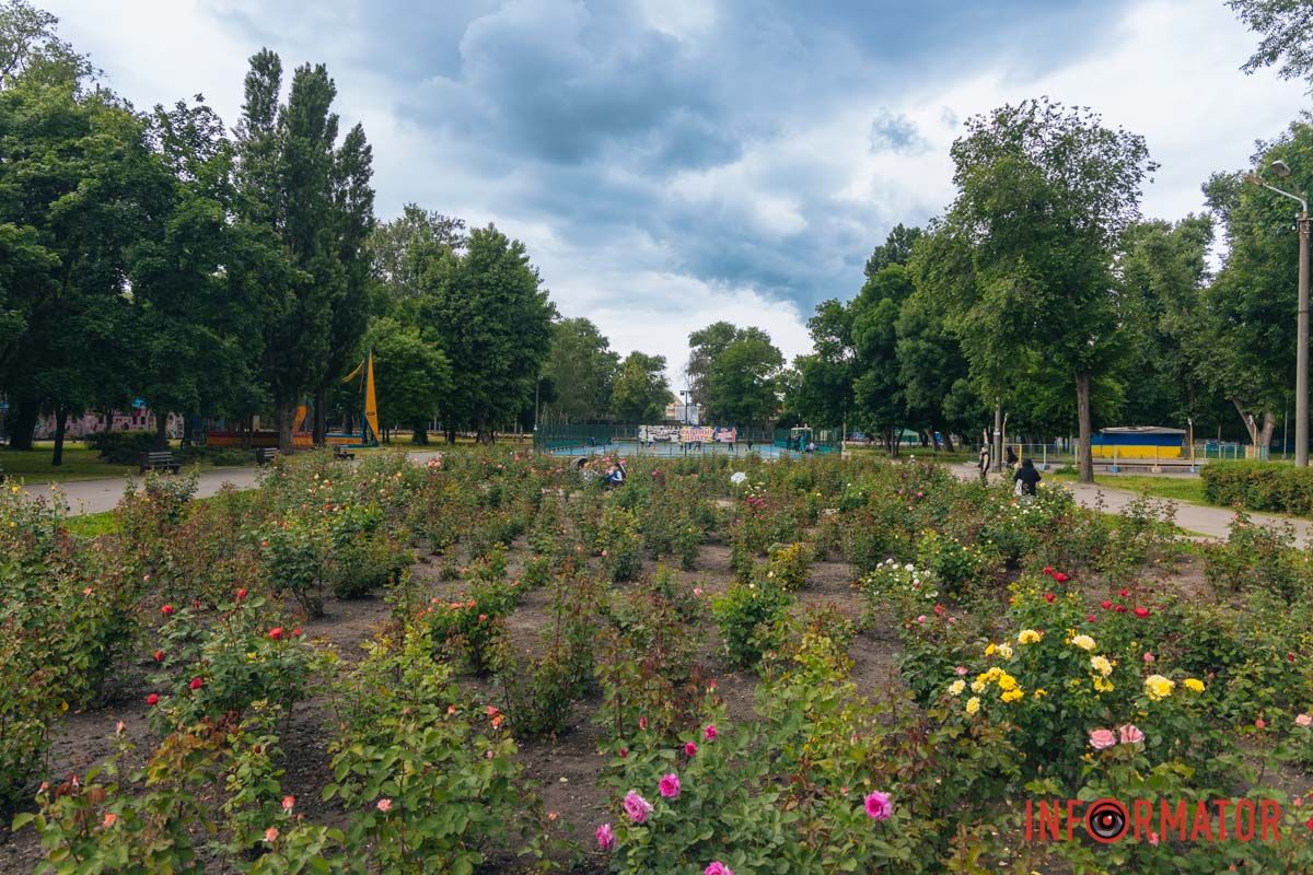 Окраса сезону