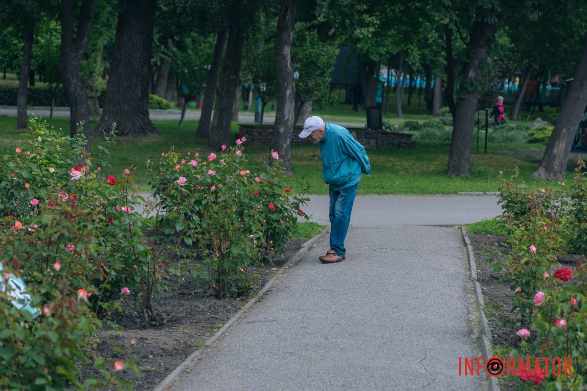 Квіткові алеї у центрі міста