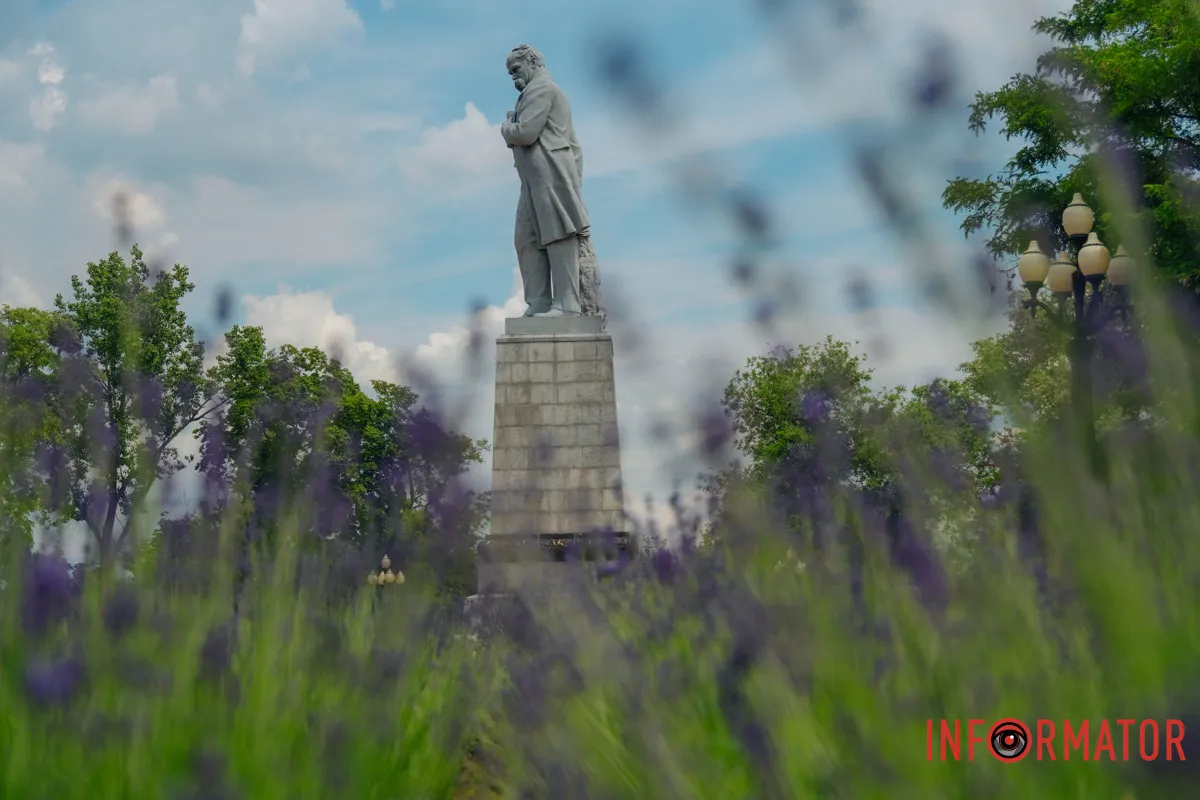 В українському кліматі лаванда зростає добре В українському кліматі лаванда зростає добре