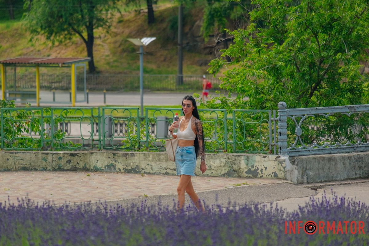 Цвіте лаванда з червня по кінець липня Цвіте лаванда з червня по кінець липня