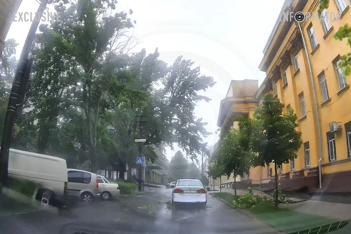 Також відламуються і гілки Також відламуються і гілки