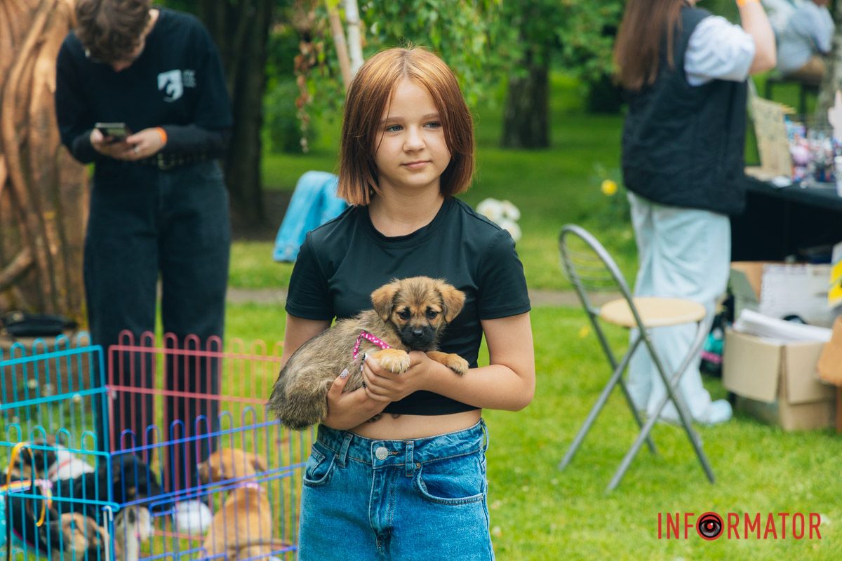 Конкурси, басейн та чимало веселощів: у Дніпрі проходив фестиваль для чотирилапих улюбленців 5