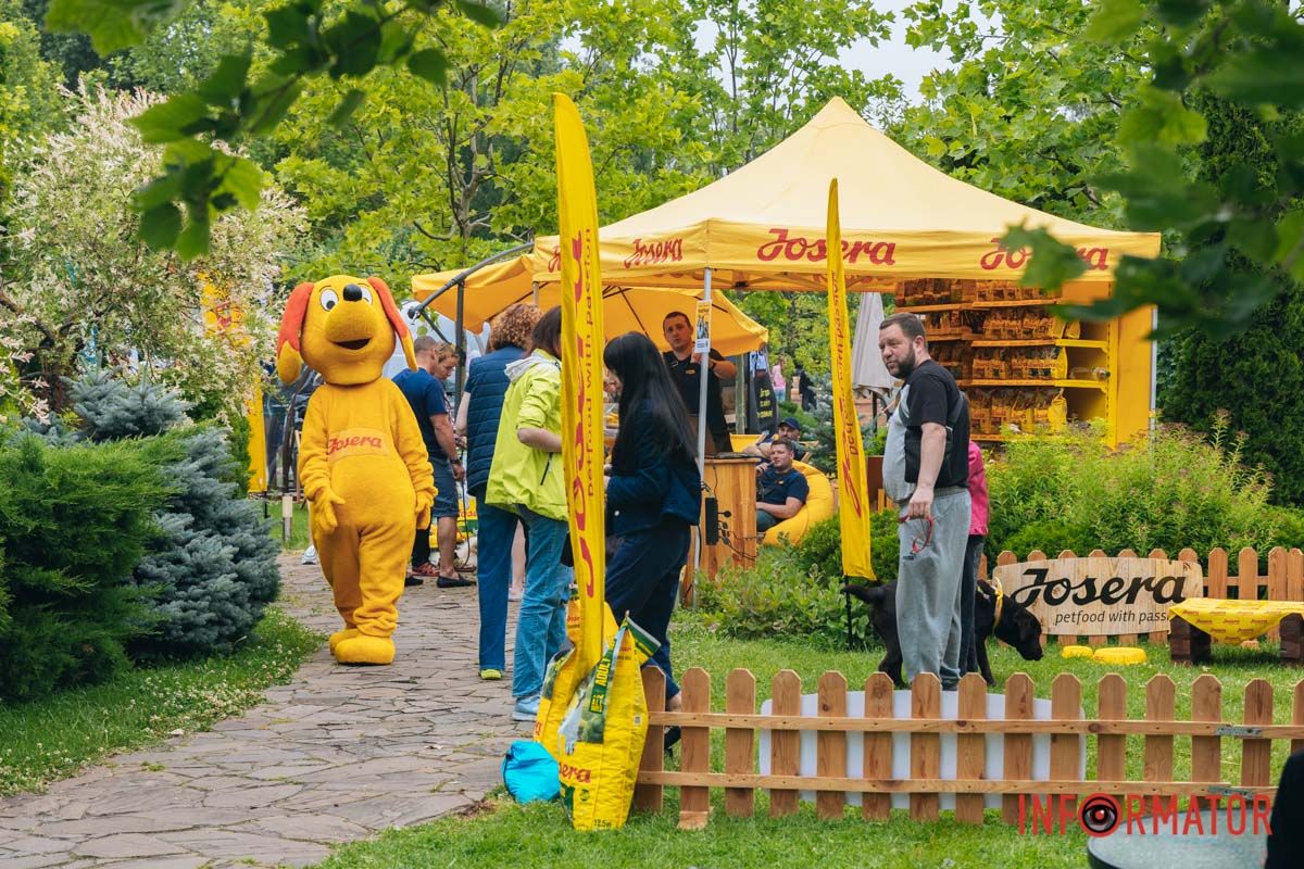 Конкурси, басейн та чимало веселощів: у Дніпрі проходив фестиваль для чотирилапих улюбленців 41