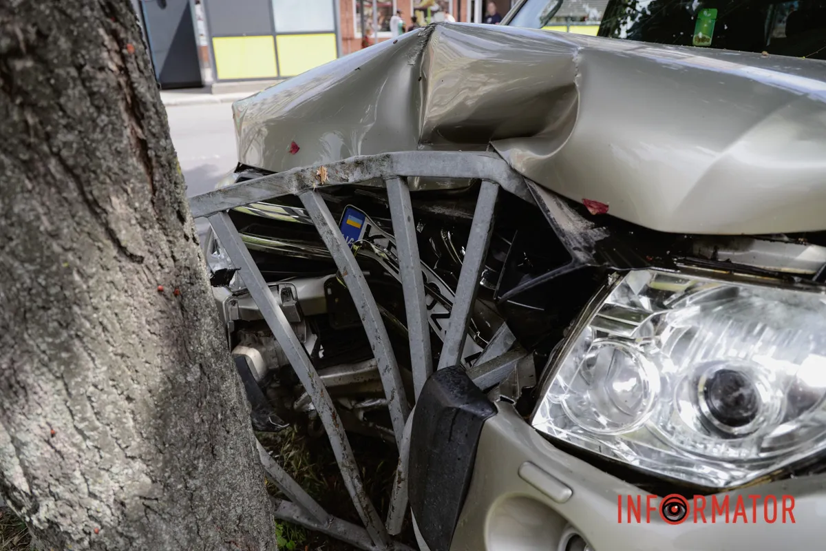 У Дніпрі на Робочій Mitsubishi вилетів у дерево та зніс паркан: водій у лікарні 14